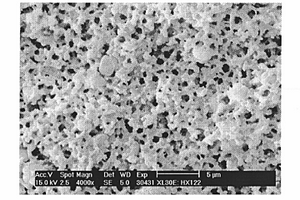 含TS-2分子筛的复合材料的制备方法