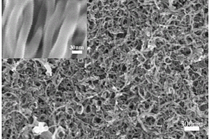 四氟丙氧基取代金属酞菁/碳纳米管复合材料的制备方法
