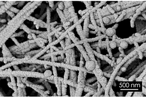 氮化钛-聚吡咯纳米复合材料及其制备方法和应用