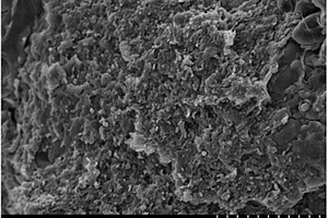 聚乳酸/纳米纤维素复合材料的制备方法