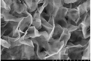 五氧化二铌纳米片复合材料及其制备方法和应用