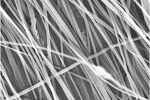 碳纳米管定向增强的碳纤维复合材料及其制备方法