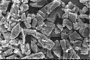 纳米颗粒/碳复合材料的制备方法及其电极电池