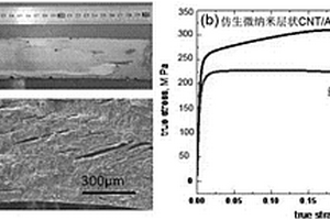 碳纳米管增强铝基复合材料的制备方法