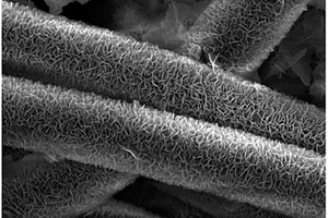 纳米片阵列钴酸镍-碳复合材料及其制备方法和应用