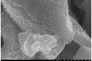 聚吡咯纳米线阵列/石墨烯片/二氧化锡复合材料的制备方法