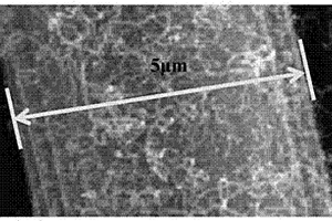 一维碳纤维/碳纳米管复合材料、其制备方法及用途