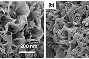 聚乙烯亚胺-钛酸纳米管复合材料及其制备方法和应用