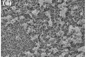镍-铁磷化物/石墨烯/镍复合材料、其制备方法及应用