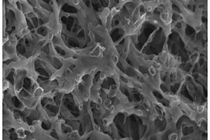 PVA-纳米铜复合材料及其制备方法和应用