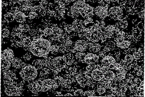 沉淀-还原法制备球形纳米SN-MO复合材料
