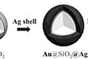 多层核壳结构Au@SiO2@Ag@SiO2纳米复合材料及其制备方法