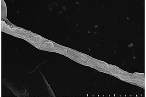 氧化石墨烯纳米卷及其复合材料的制备方法