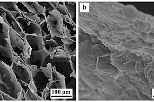 氮化硼纳米管气凝胶/相变导热复合材料及其制备方法
