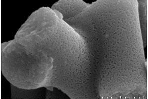 多孔磷化钼/碳纤维复合材料的制备方法及应用
