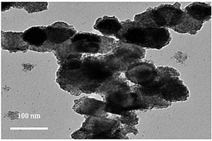 Co<sub>3</sub>O<sub>4</sub>@Au纳米催化复合材料及其制备方法