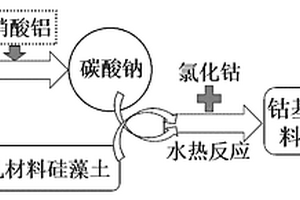 利用生物质与硅藻土制备钴基复合材料的方法