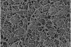 纤维增强的聚烯烃-炭黑复合材料及其制备方法