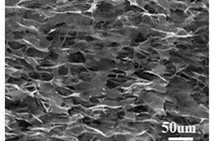 MXene/GO复合海绵增强树脂基复合材料的制备方法