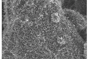 碳材料-碳纳米纤维复合材料和双层电容器
