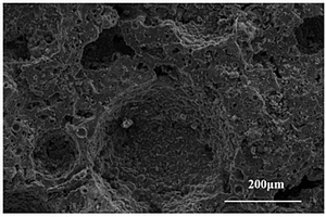 碱激发粉煤灰转化的碳纳米管/白榴石多孔陶瓷复合材料的制备方法