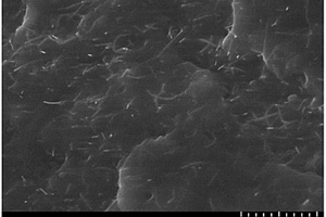 改性碳纳米管纤维和弹性体复合材料及其制备方法