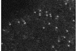 限域界面定向锚定Pt单原子于N-AC<Sub>1</Sub>/N-AC<Sub>2</Sub>复合材料的方法