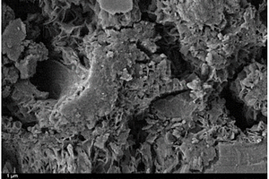 硫氧镁水泥基复合材料及其制备方法