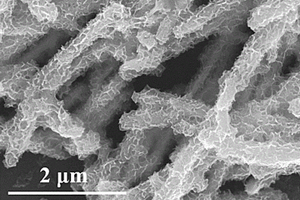 氧化钨纳米棒/碳化钛量子点/硫化铟纳米片Z型异质结复合材料及其制备方法与应用