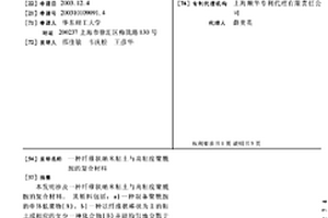 纤维状纳米粘土与高粘度聚酰胺的复合材料