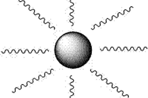 荧光共轭聚合物与磁纳米粒子复合材料及制备方法