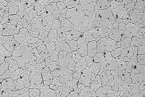 纳米氧化铝增强镁基复合材料的制备方法