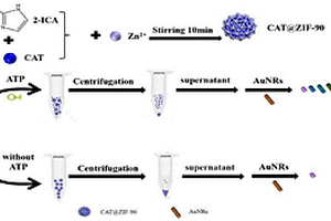 基于ZIF-90负载过氧化氢酶复合材料比色检测ATP的方法