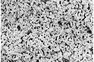 利用废旧硅化钼涂层制备多孔硅化钼/碳化硅复合材料的方法