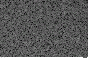 磷化钼纳米微球复合材料的制备方法
