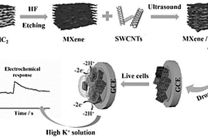 基于MXene-SWCNTs纳米复合材料修饰的GCE电极
