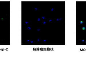 负载纳米金的具有双靶向功能和聚集诱导发光新型MOF复合材料的制备方法及其应用