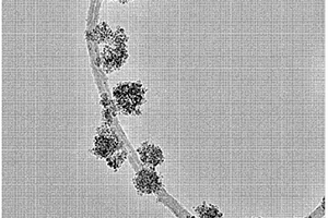 钴镍铁氧体/多壁碳纳米管磁性纳米复合材料的制备方法