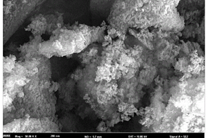 氨基碳羟基磷灰石复合材料及其制备方法和应用