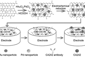 基于石墨烯-金-钯纳米复合材料的胰腺癌肿瘤标志物免疫传感器的制备