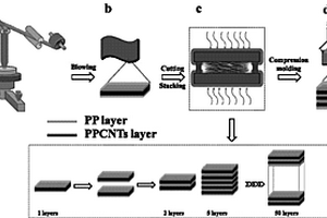 各向异性导电高分子复合材料的制备方法