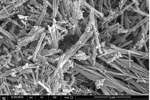 二氧化钛纳米颗粒修补纳米线异质结复合材料