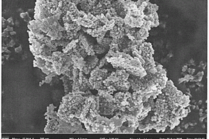 微纳米Fe<Sub>3</Sub>O<Sub>4</Sub>@BiOCl复合材料及其合成方法