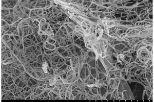 氮掺杂碳纤维包覆类石墨烯层间复合材料的制备方法