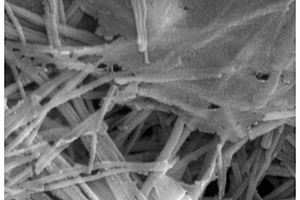 棒状四氧化三钴/石墨烯纳米复合材料的制备方法及应用