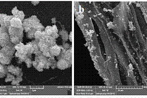 纤维素/氧化锌纳米粒子复合材料的制备方法