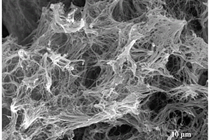 儿茶酚功能化壳聚糖多孔纳米纤维膜/海藻酸钠复合材料的制备方法