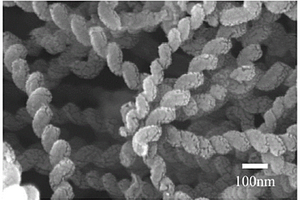 四氧化三钴-螺旋纳米碳纤维复合材料及其制备方法和应用