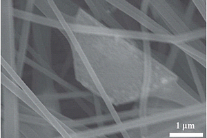 金属碳纳米纤维复合材料及其制备方法和应用