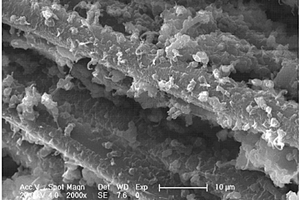 改性短切碳纤维增强聚烯烃复合材料及其制备方法